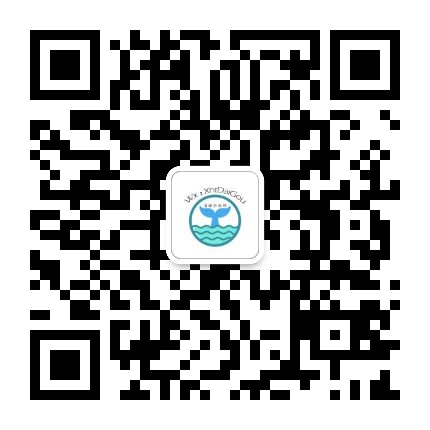 小海豚潮牌一手貨源一件代發(fā)